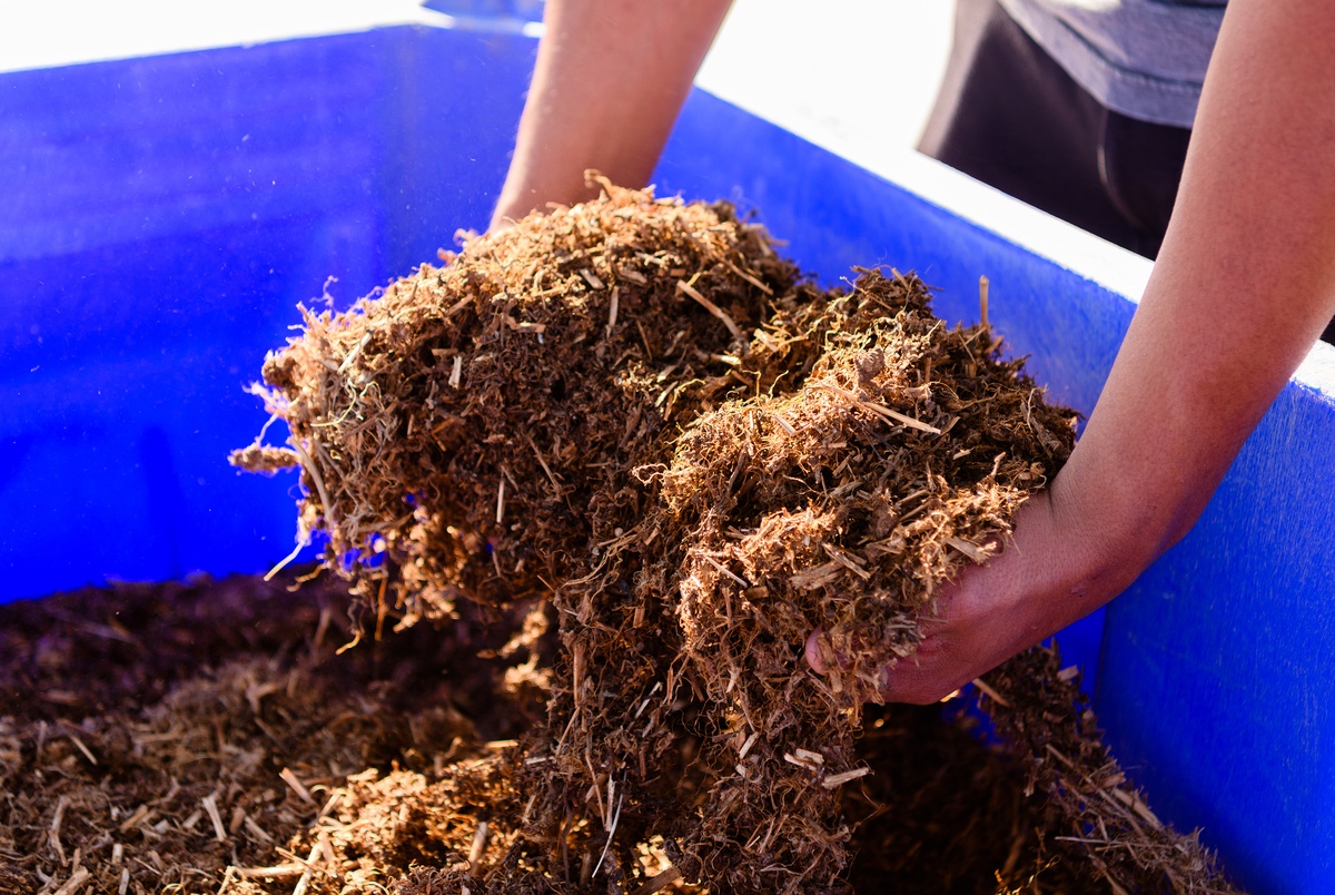 Texas hemp farmers fear full THC ban would nip industry in the bud
